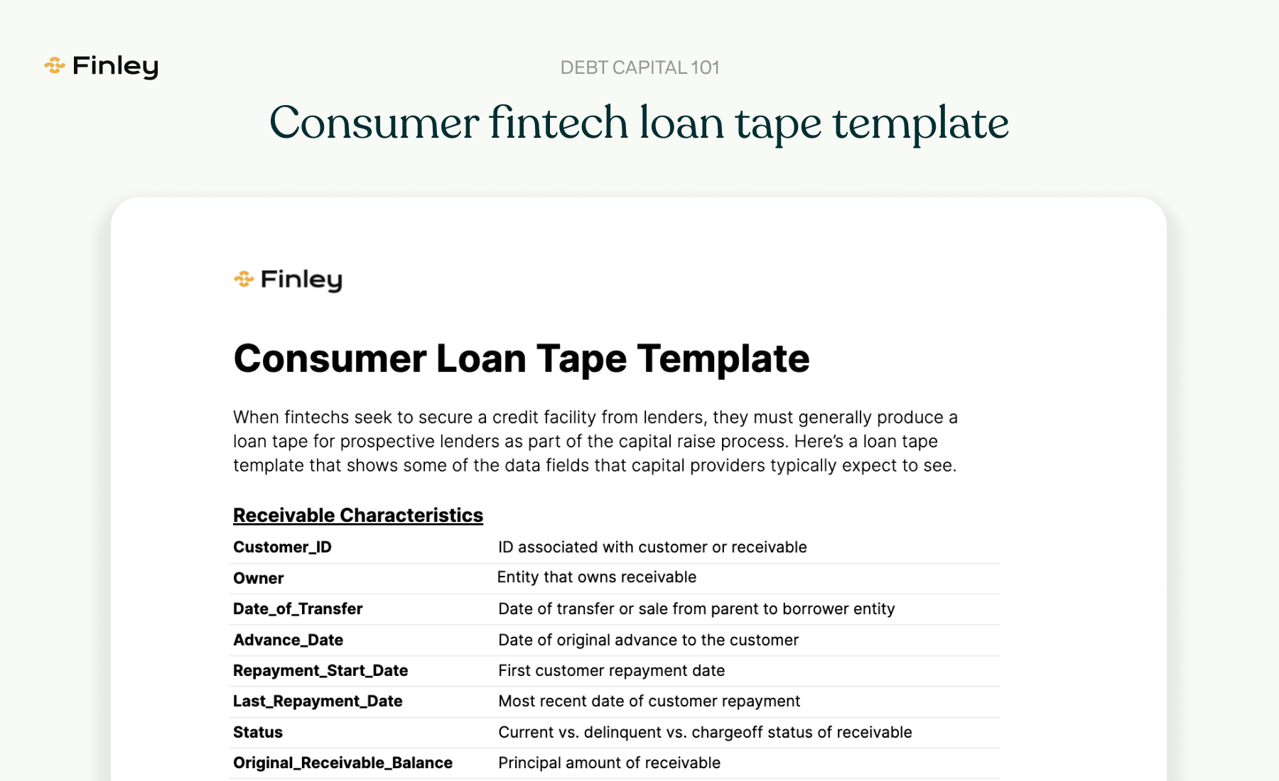 Loan Tape Template Preview