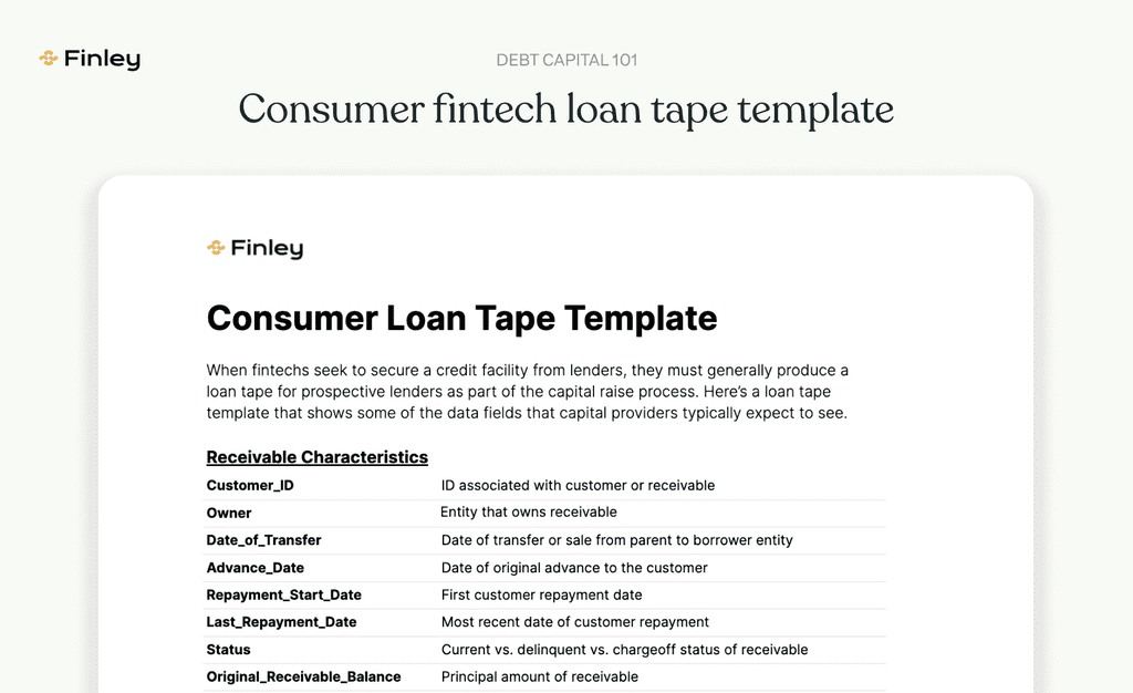 Finley's consumer fintech loan tape template